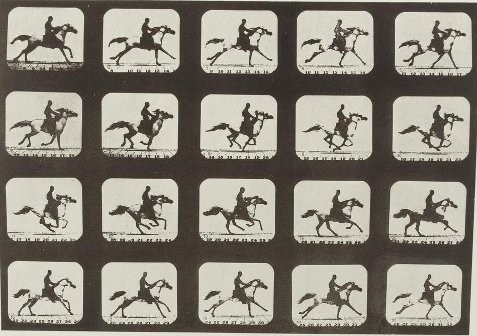The Horse in Motion — the horse in motion